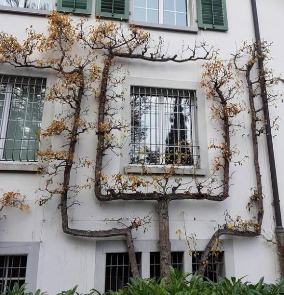 daily picdump 107 pics 45.html - 107 HD Photos | Premium Gallery 2017