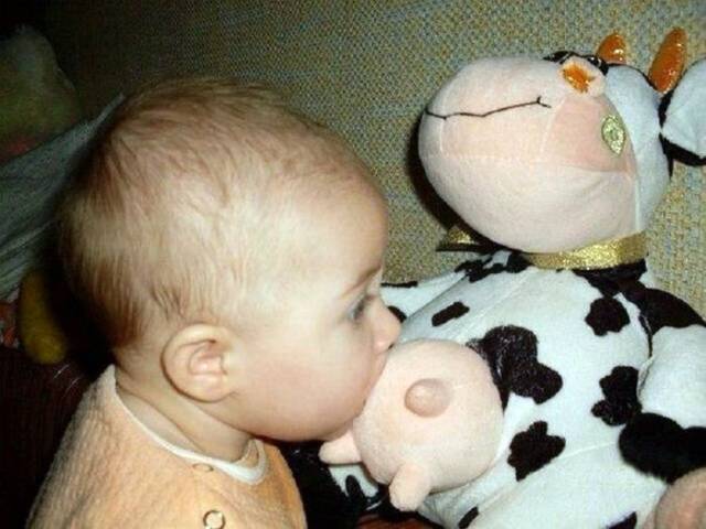 daily picdump 107 pics 45.html - 107 HD Photos | Premium Gallery 2017