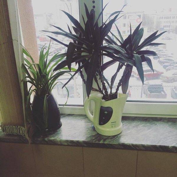 daily picdump 107 pics 45.html - 107 HD Photos | Premium Gallery 2017