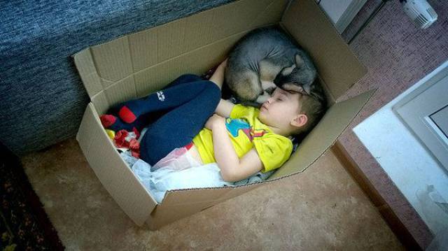 daily picdump 107 pics 45.html - 107 HD Photos | Premium Gallery 2017