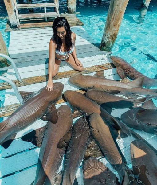 daily picdump 107 pics 45.html - 107 HD Photos | Premium Gallery 2017