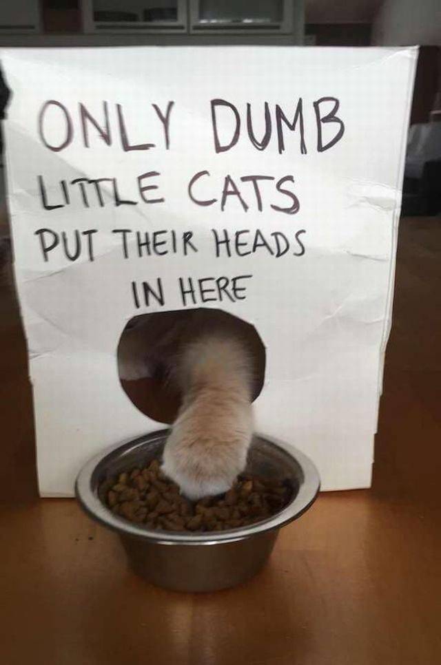 daily picdump 107 pics 45.html - 107 HD Photos | Premium Gallery 2017