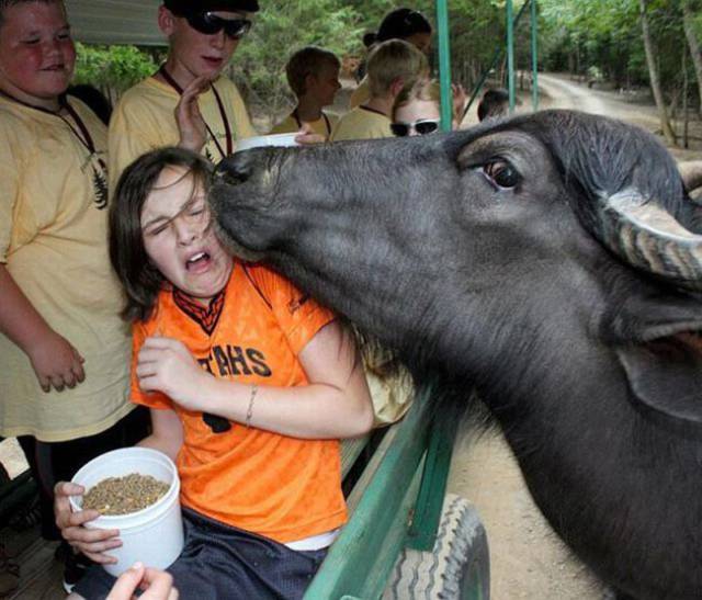 funny picdump 53 pics 21.html - 53 HD Photos | Premium Gallery 2017