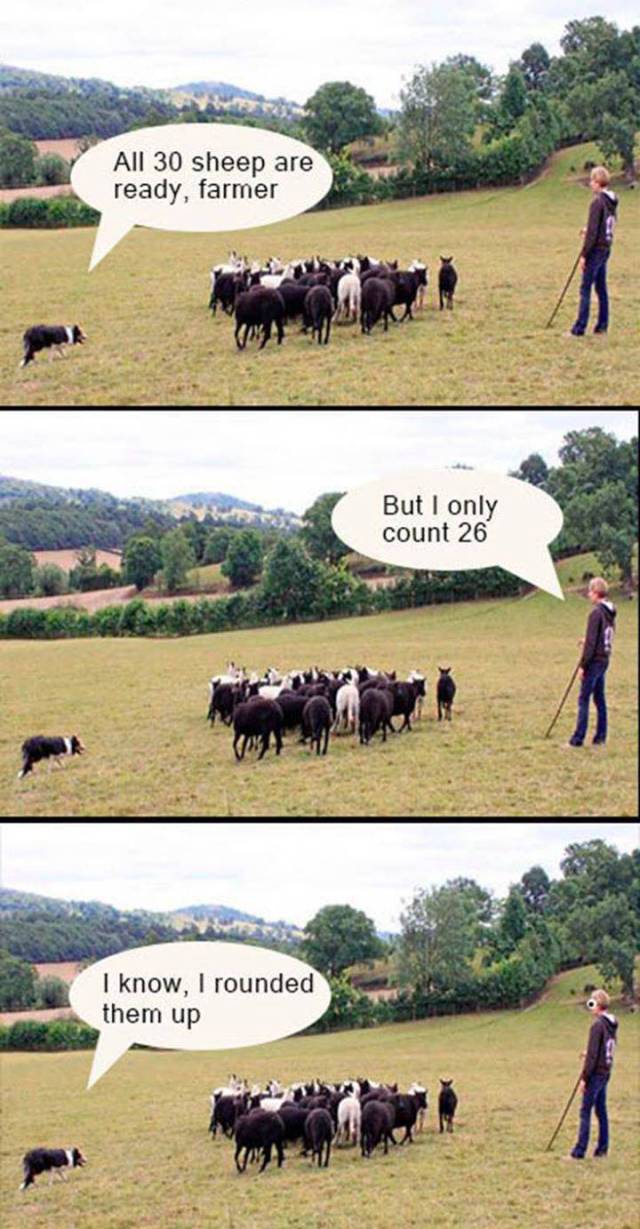 funny picdump 53 pics 21.html - 53 HD Photos | Premium Gallery 2017