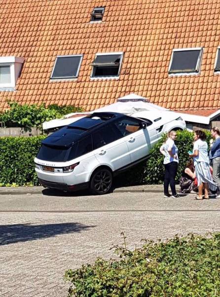 daily picdump 96 pics 32.html - 96 HD Photos | Premium Gallery 2017