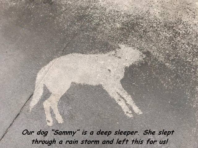 daily picdump 96 pics 32.html - 96 HD Photos | Premium Gallery 2017