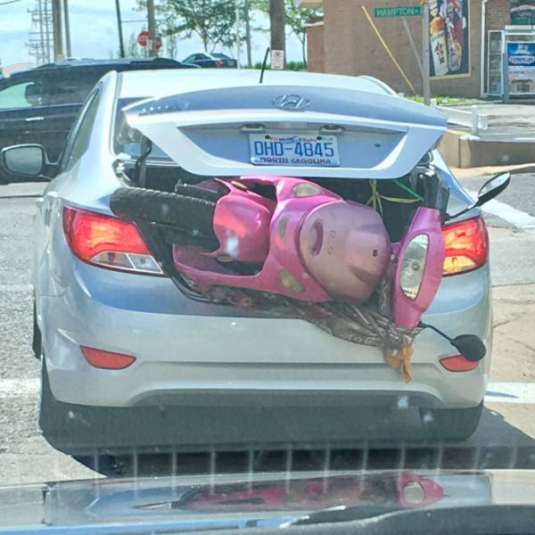 daily picdump 96 pics 32.html - 96 HD Photos | Premium Gallery 2017