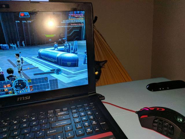 daily picdump 96 pics 32.html - 96 HD Photos | Premium Gallery 2017