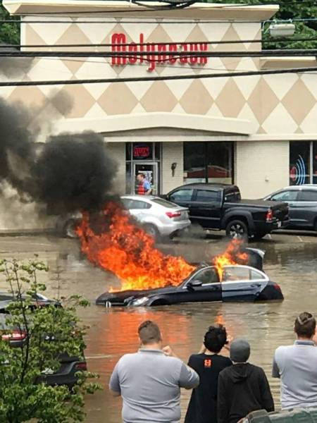 daily picdump 96 pics 32.html - 96 HD Photos | Premium Gallery 2017