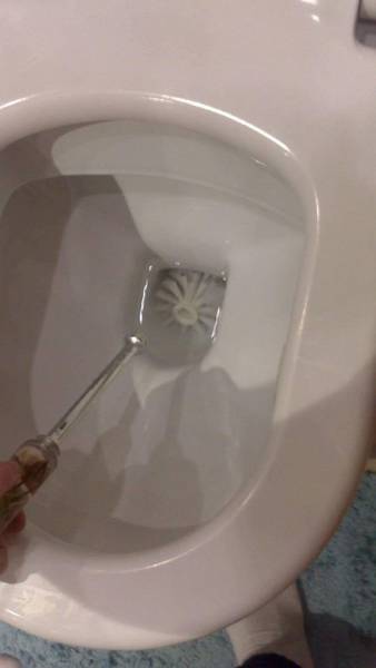 daily picdump 96 pics 32.html - 96 HD Photos | Premium Gallery 2017