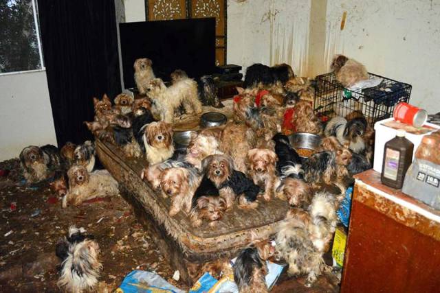 daily picdump 96 pics 32.html - 96 HD Photos | Premium Gallery 2017