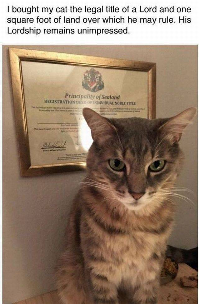 daily picdump 96 pics 32.html - 96 HD Photos | Premium Gallery 2017