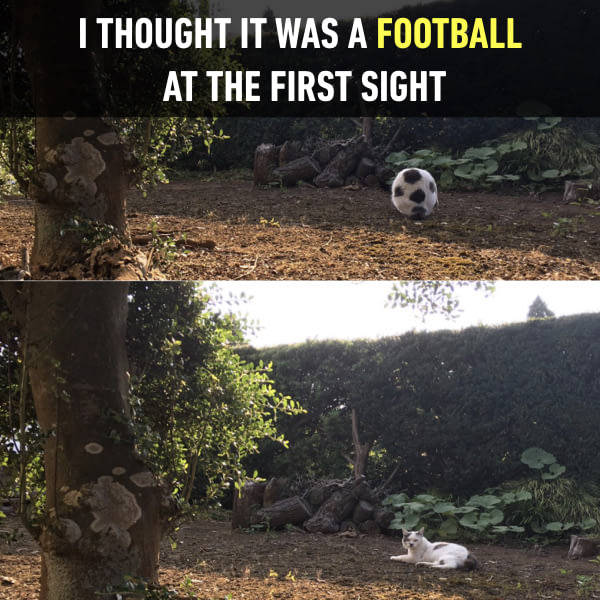 funny picdump 52 pics 3.html - 52 HD Photos | Premium Gallery 2017