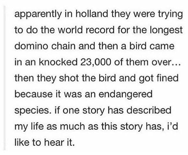 funny picdump 52 pics 3.html - 52 HD Photos | Premium Gallery 2017