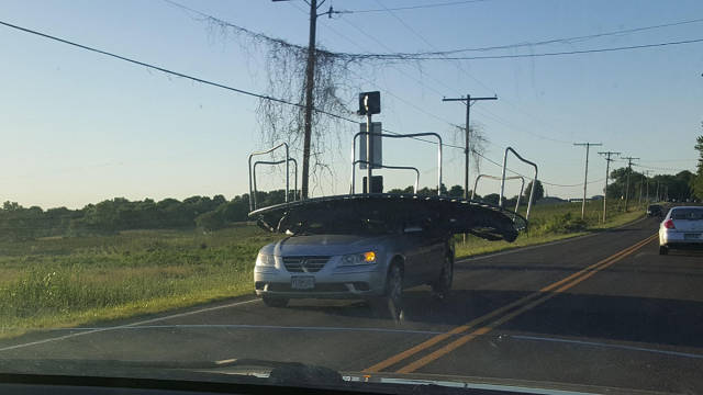 morning picdump 50 pics 17.html - 50 HD Photos | Premium Gallery 2017