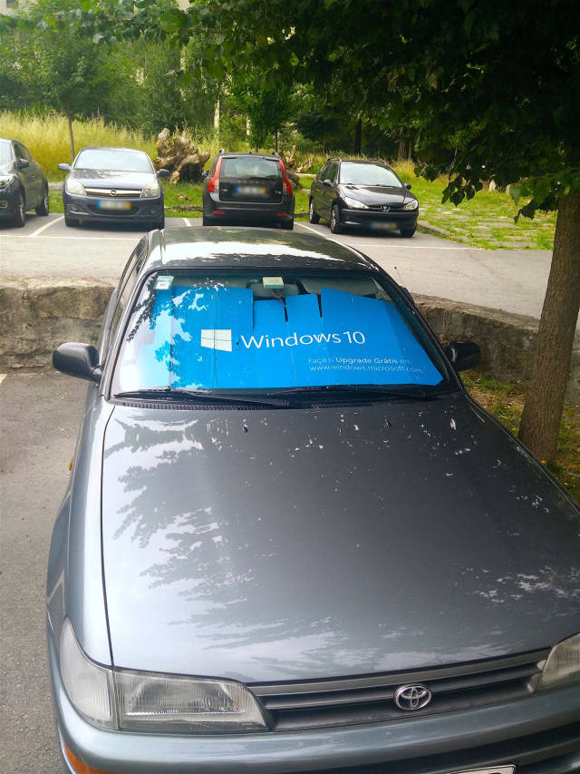 morning picdump 50 pics 17.html - 50 HD Photos | Premium Gallery 2017