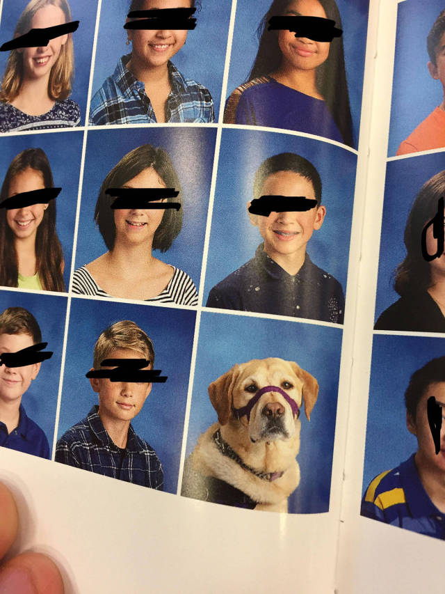 morning picdump 50 pics 17.html - 50 HD Photos | Premium Gallery 2017