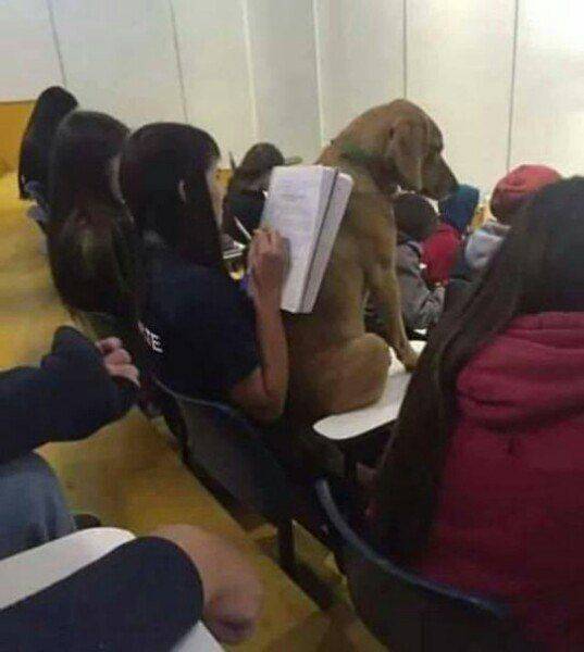 daily picdump 93 pics 39.html - 93 HD Photos | Premium Gallery 2017