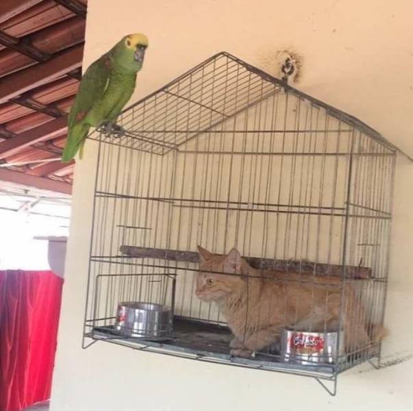 daily picdump 93 pics 39.html - 93 HD Photos | Premium Gallery 2017