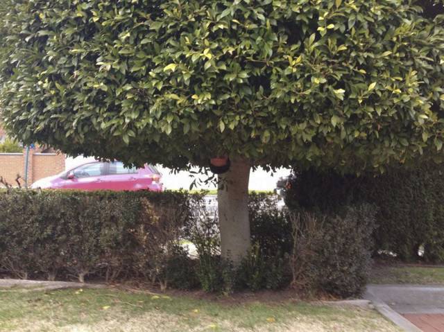 daily picdump 93 pics 39.html - 93 HD Photos | Premium Gallery 2017