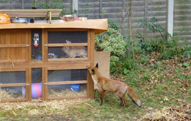 daily picdump 93 pics 39.html - 93 HD Photos | Premium Gallery 2017