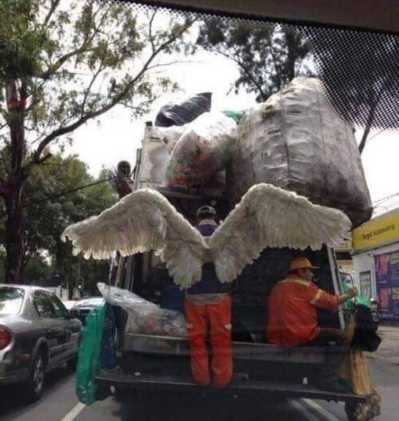 daily picdump 93 pics 39.html - 93 HD Photos | Premium Gallery 2017