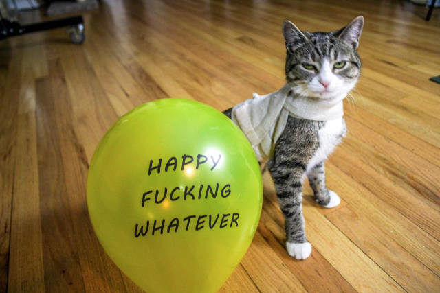 morning picdump 51 pics 5.html - 51 HD Photos | Premium Gallery 2017