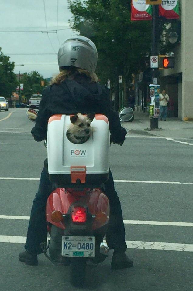 morning picdump 51 pics 5.html - 51 HD Photos | Premium Gallery 2017