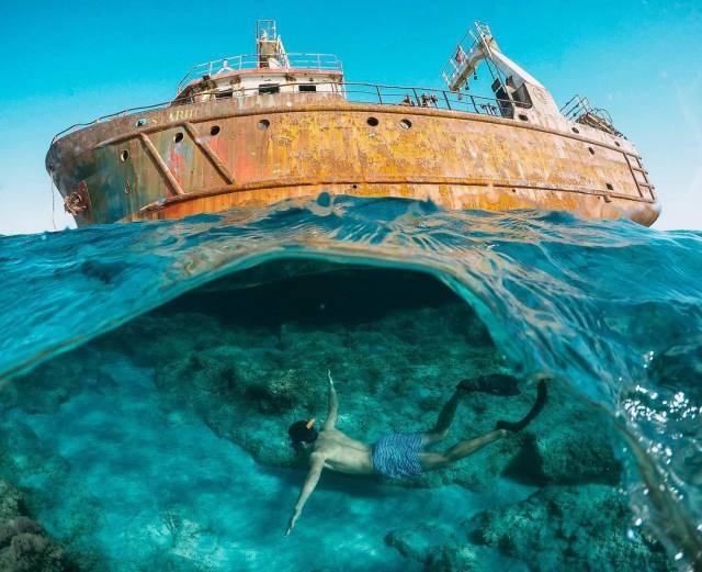 daily picdump 97 pics 20.html - 97 HD Photos | Premium Gallery 2017