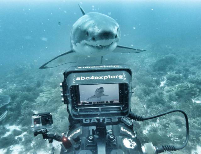 daily picdump 97 pics 20.html - 97 HD Photos | Premium Gallery 2017