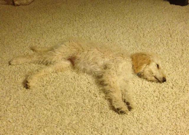 daily picdump 97 pics 20.html - 97 HD Photos | Premium Gallery 2017