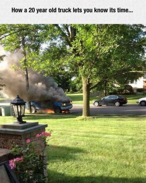 daily picdump 97 pics 20.html - 97 HD Photos | Premium Gallery 2017