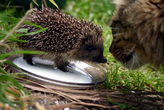 daily picdump 97 pics 20.html - 97 HD Photos | Premium Gallery 2017