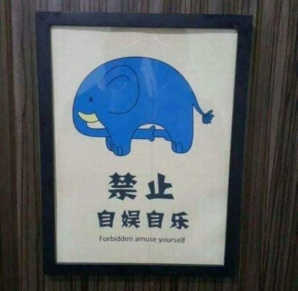 daily picdump 97 pics 20.html - 97 HD Photos | Premium Gallery 2017