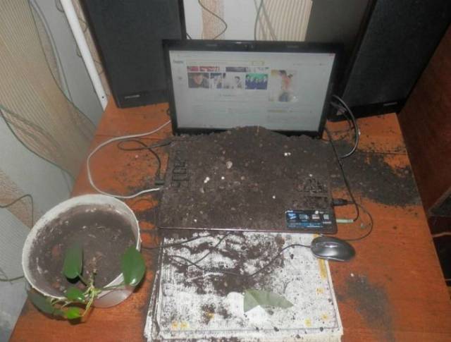 daily picdump 97 pics 20.html - 97 HD Photos | Premium Gallery 2017