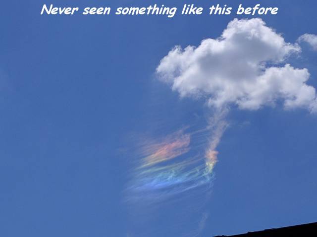 daily picdump 97 pics 20.html - 97 HD Photos | Premium Gallery 2017