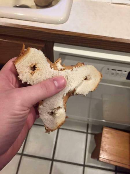 morning picdump 53 pics 4.html - 53 HD Photos | Premium Gallery 2017