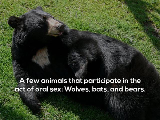These Sexy Facts Are Just What You Desire