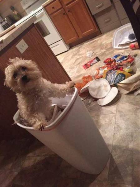 daily picdump 95 pics 15.html - 95 HD Photos | Premium Gallery 2017