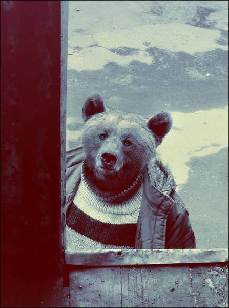 daily picdump 95 pics 15.html - 95 HD Photos | Premium Gallery 2017