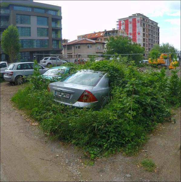 daily picdump 95 pics 15.html - 95 HD Photos | Premium Gallery 2017