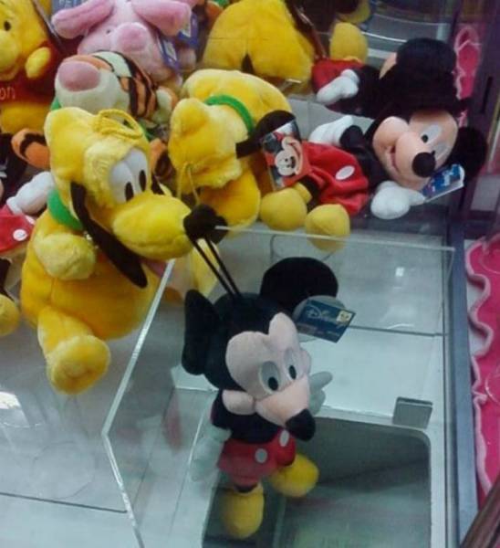 daily picdump 95 pics 15.html - 95 HD Photos | Premium Gallery 2017