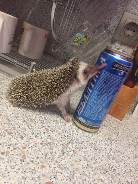 daily picdump 95 pics 15.html - 95 HD Photos | Premium Gallery 2017