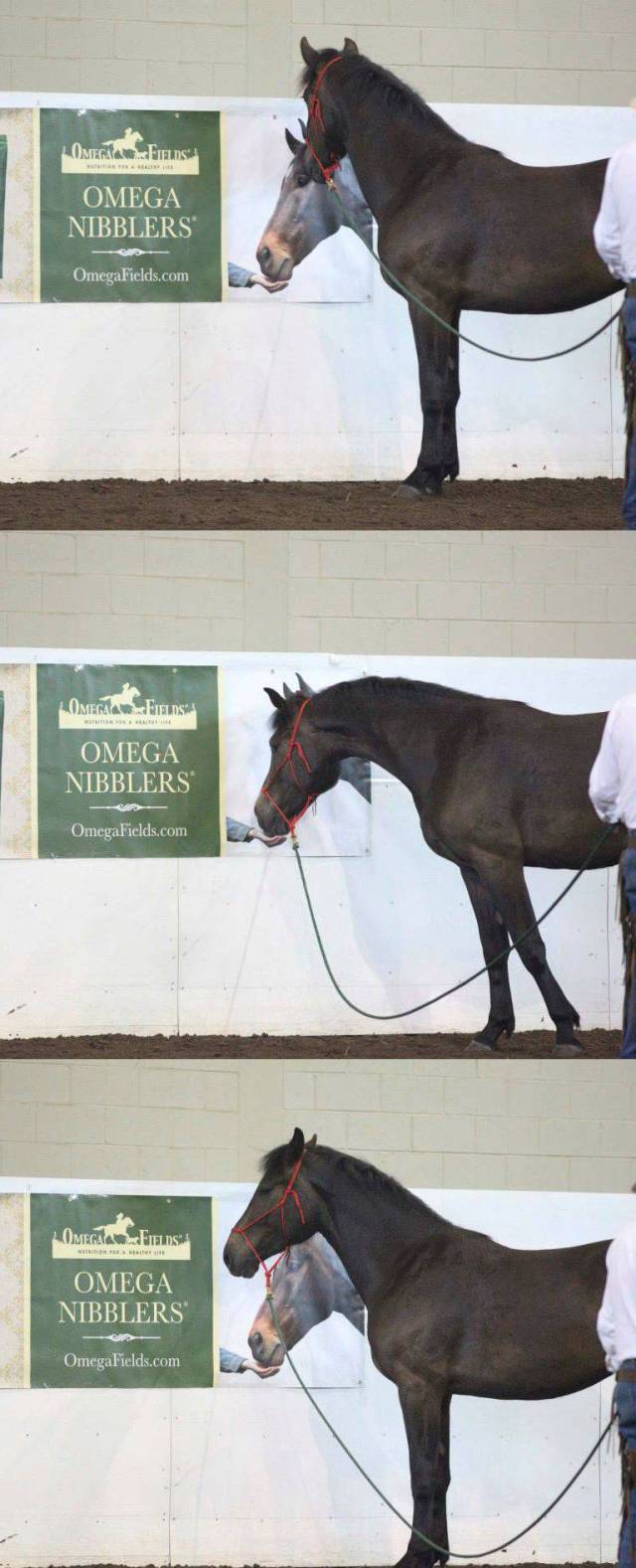 daily picdump 95 pics 15.html - 95 HD Photos | Premium Gallery 2017