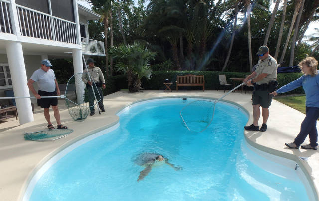 morning picdump 50 pics 14.html - 50 HD Photos | Premium Gallery 2017