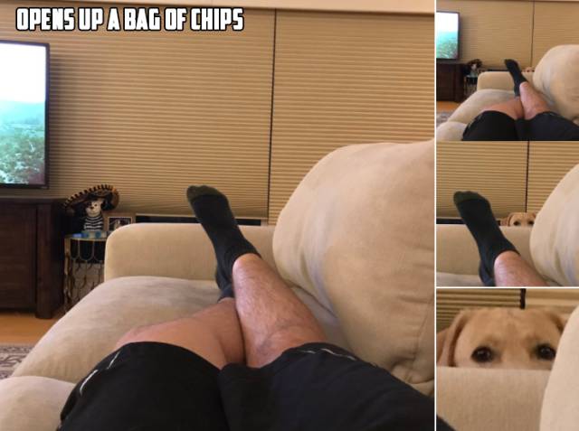 morning picdump 50 pics 14.html - 50 HD Photos | Premium Gallery 2017