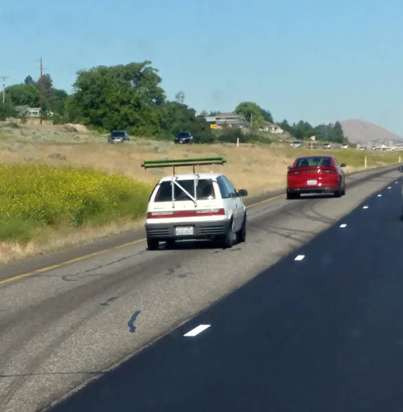 morning picdump 50 pics 14.html - 50 HD Photos | Premium Gallery 2017