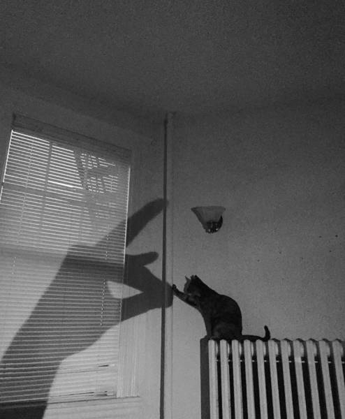 morning picdump 50 pics 14.html - 50 HD Photos | Premium Gallery 2017