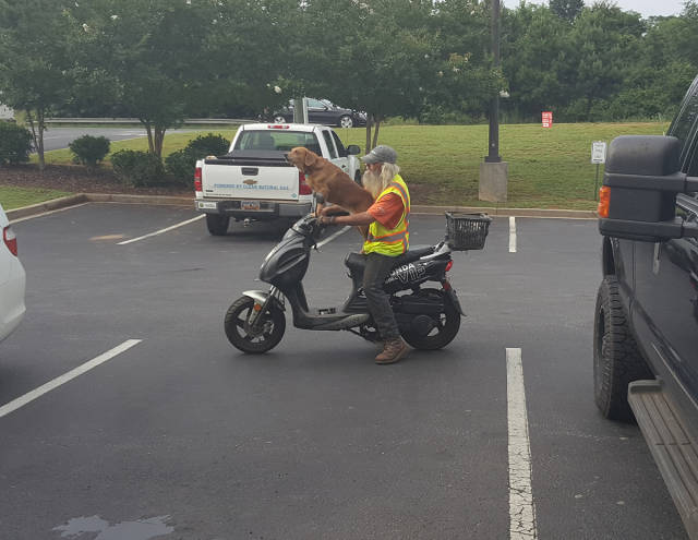 morning picdump 50 pics 14.html - 50 HD Photos | Premium Gallery 2017