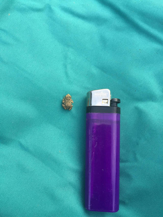 morning picdump 50 pics 14.html - 50 HD Photos | Premium Gallery 2017